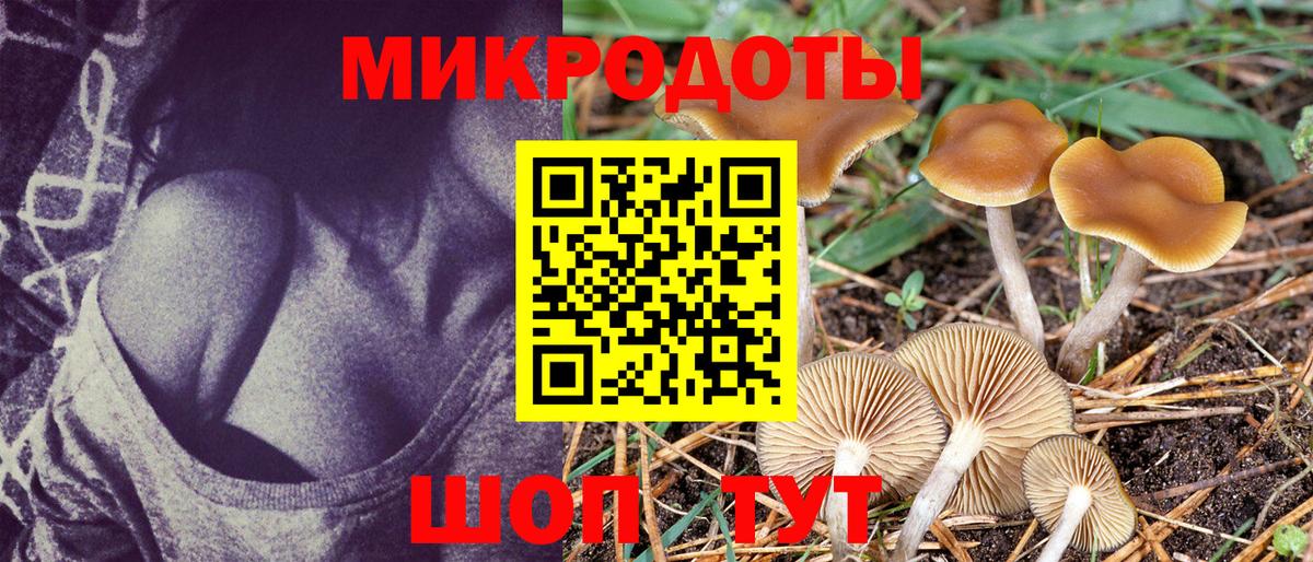 Псилоцибиновые грибы Magic Shrooms Саратов