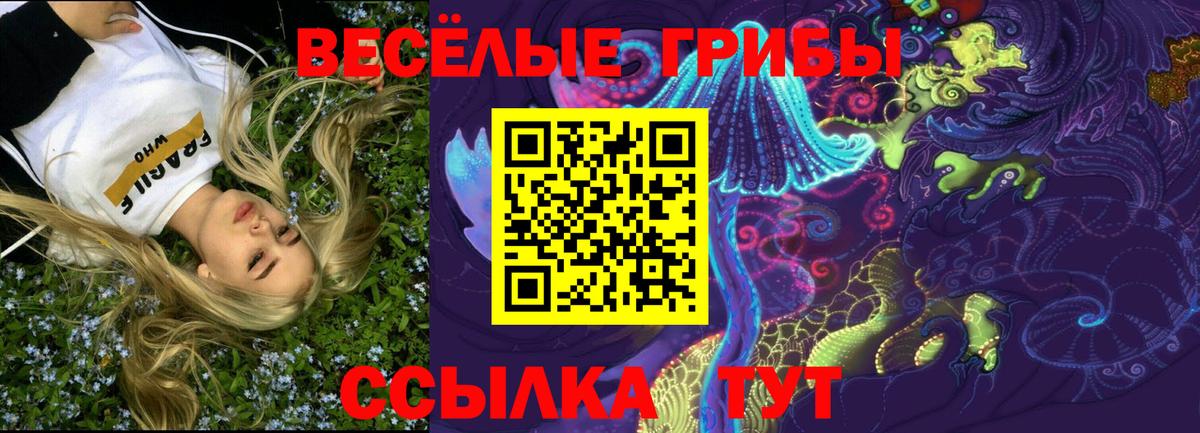 купить  цена  Галлюциногенные грибы прущие грибы  Вход с VPN  Саратов 